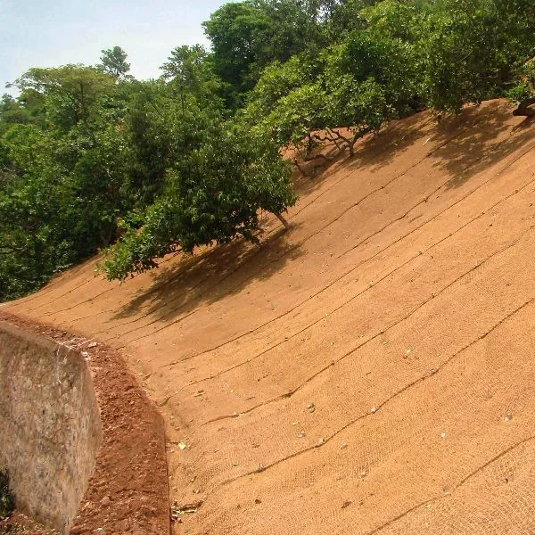Coir geotextile covering a tree-lined embankment